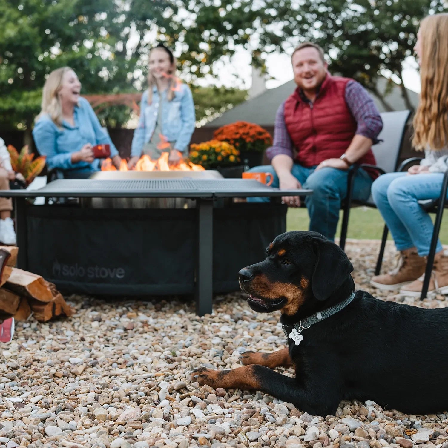 Surround for Solo Stove Yukon